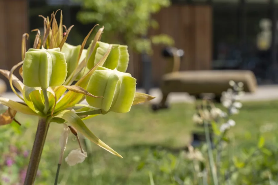 d&eacute;couvrez comment choisir les meilleurs mat&eacute;riaux pour vos projets &agrave; garches : conseils, astuces et crit&egrave;res essentiels pour un r&eacute;sultat durable et esth&eacute;tique.